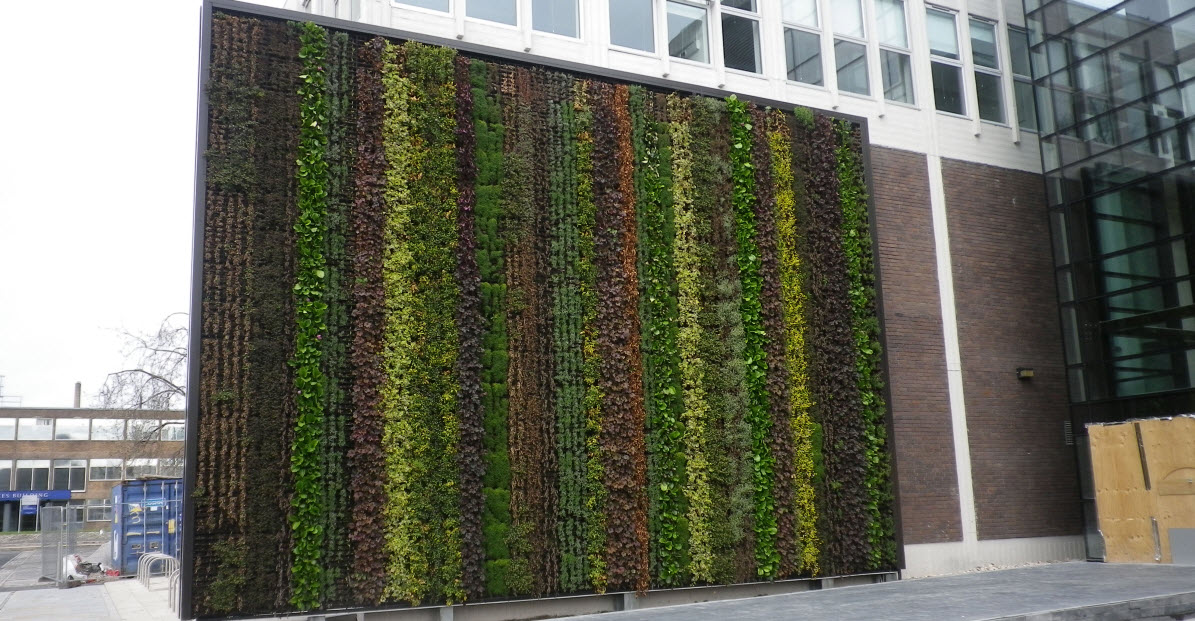 art wonder every day grid wall of plants. liverpool university