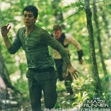  Por Dentro de Maze Runner. O Guia da Clareira (Em Portuguese do  Brasil): 9788576837527: James Dashner, Veronica Deets: Libros