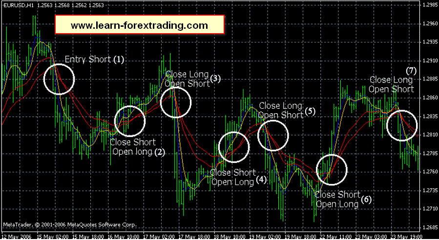 wma trading system