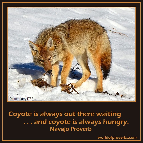 By Larry1732 (Coyote)