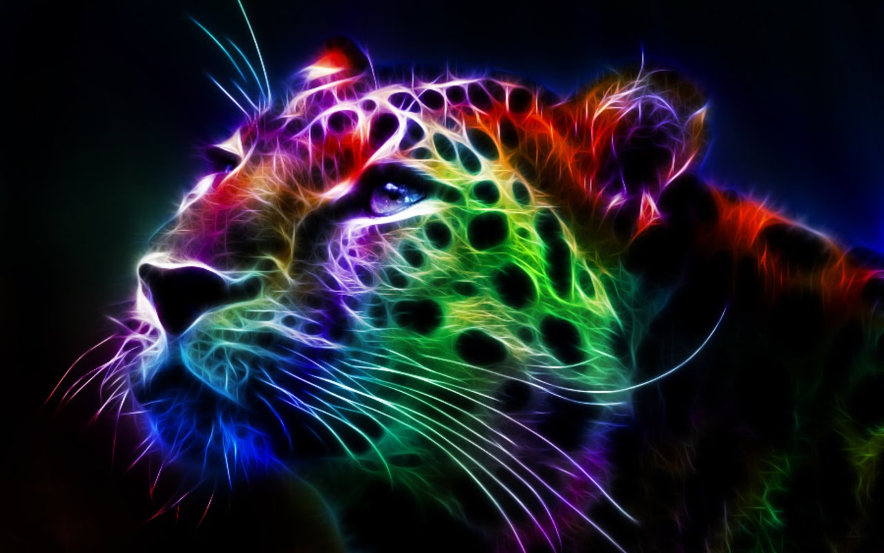 Colorful Wallpaper Animal | 40 colorful desktop backgrounds Colorful Wallpaper Animal | 40 colorful desktop backgrounds
