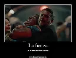 imágenes con frases del capo