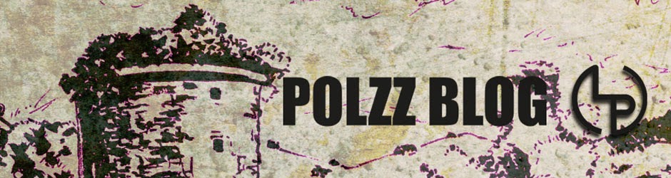 Polzz Blog