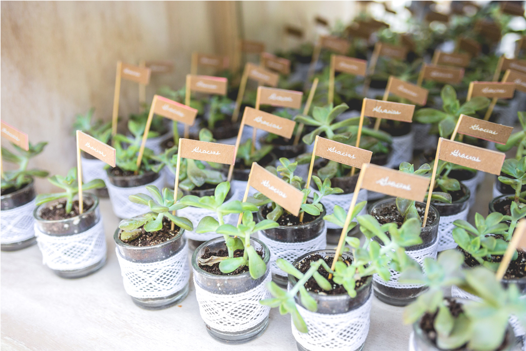 TODO PARA TUS EVENTOS: HERMOSOS RECUERDOS ECOLoGICOS