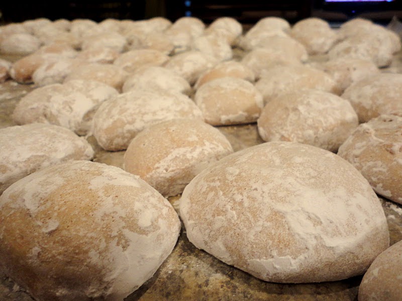 Keeping up with the Kitchen Mom German Pfeffernusse (Pepper Nut) Cookies