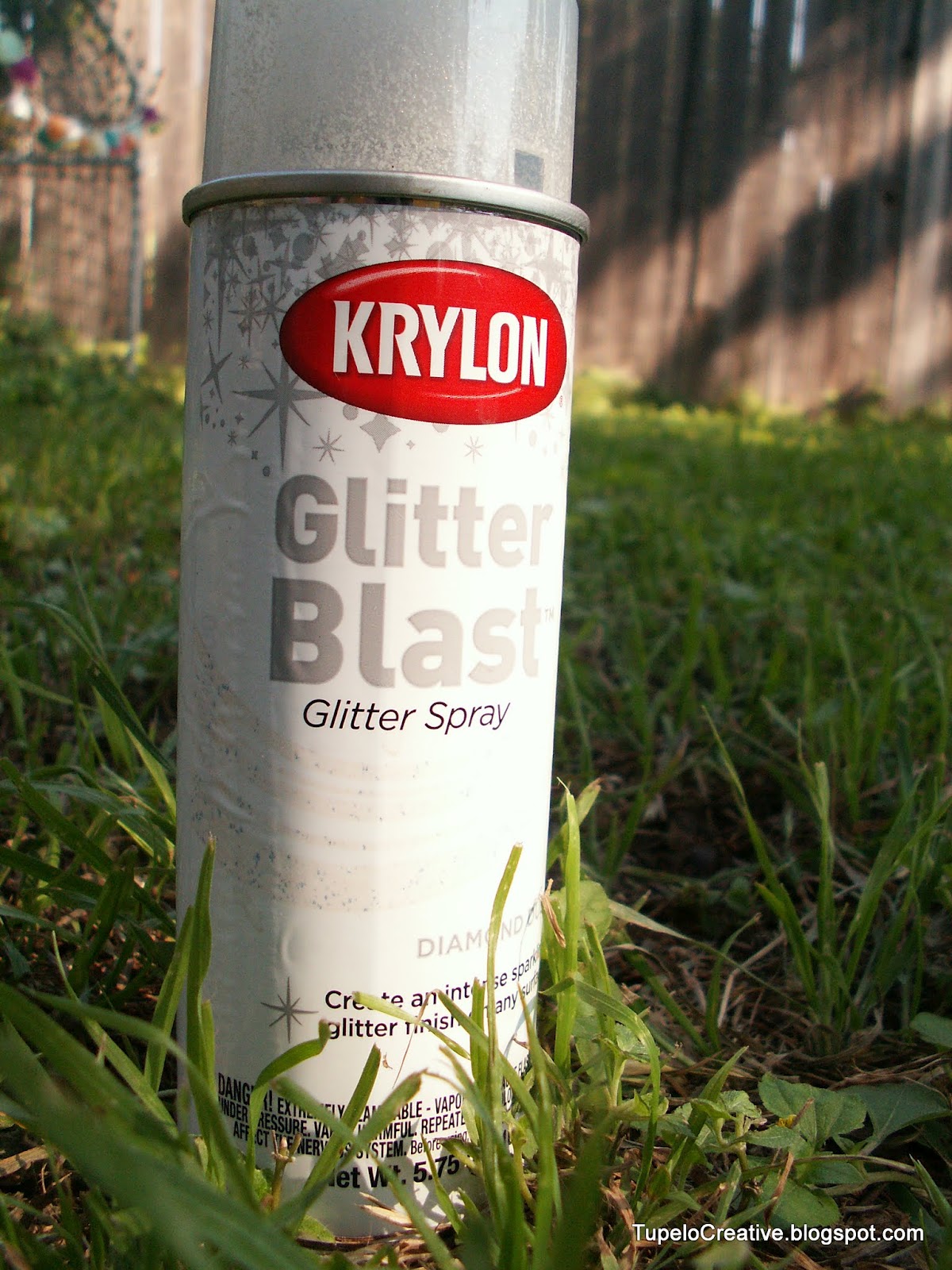 Tupelo Creative Glitter Spray Paint!!!