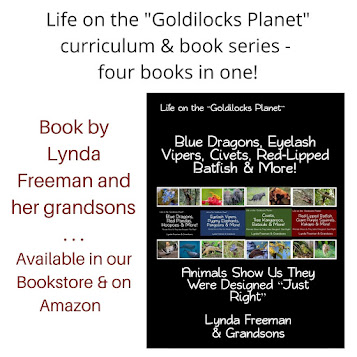 Life on the Goldilocks Planet Series