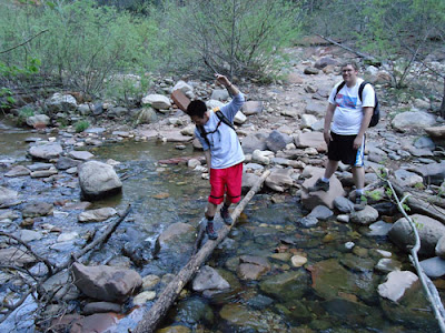 Larry on log crossing stream