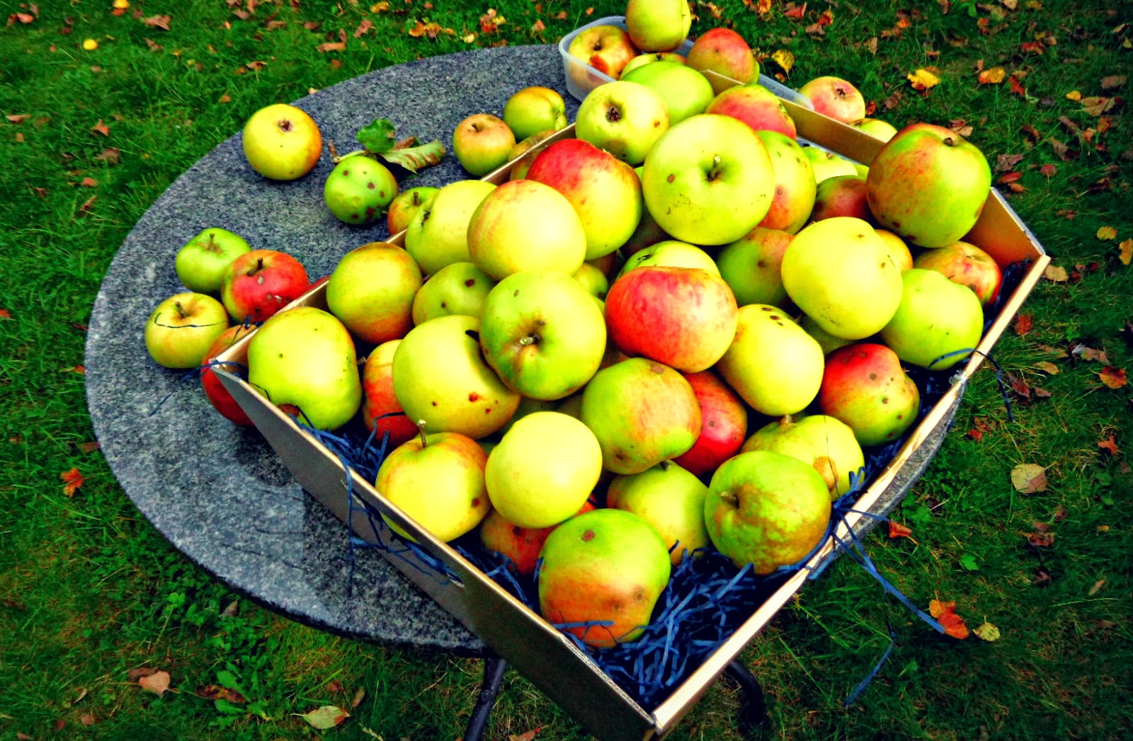 Chez Maximka Apple and orange jam