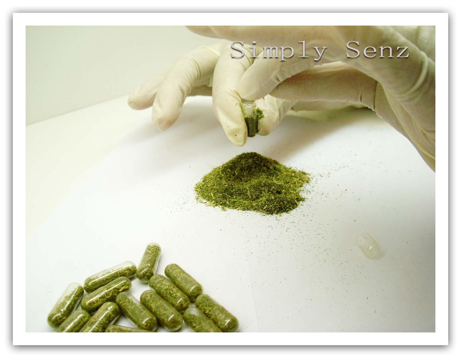 Simply Senz Making of Sabah Snake Grass Capsule Filler DIY