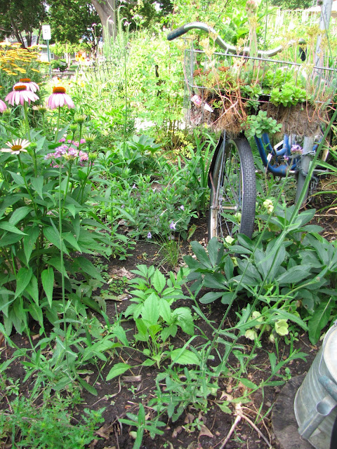 A Corner Garden: East Front Yard Flower Bed