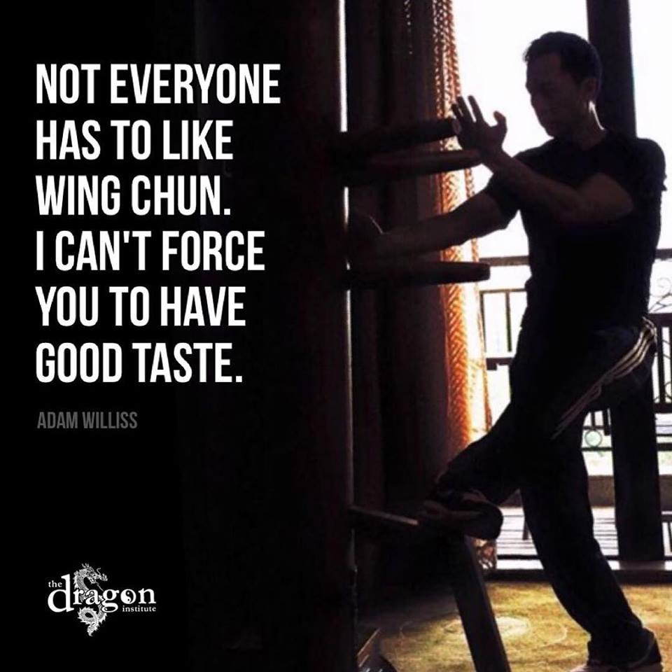 Wing chun, Martial arts quotes, Wings
