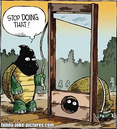 funny-tortoise-guillotine-cartoon.jpg
