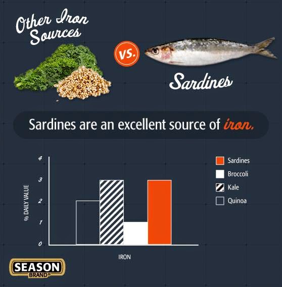 Mouth Full of Sardines Sardine Randomness