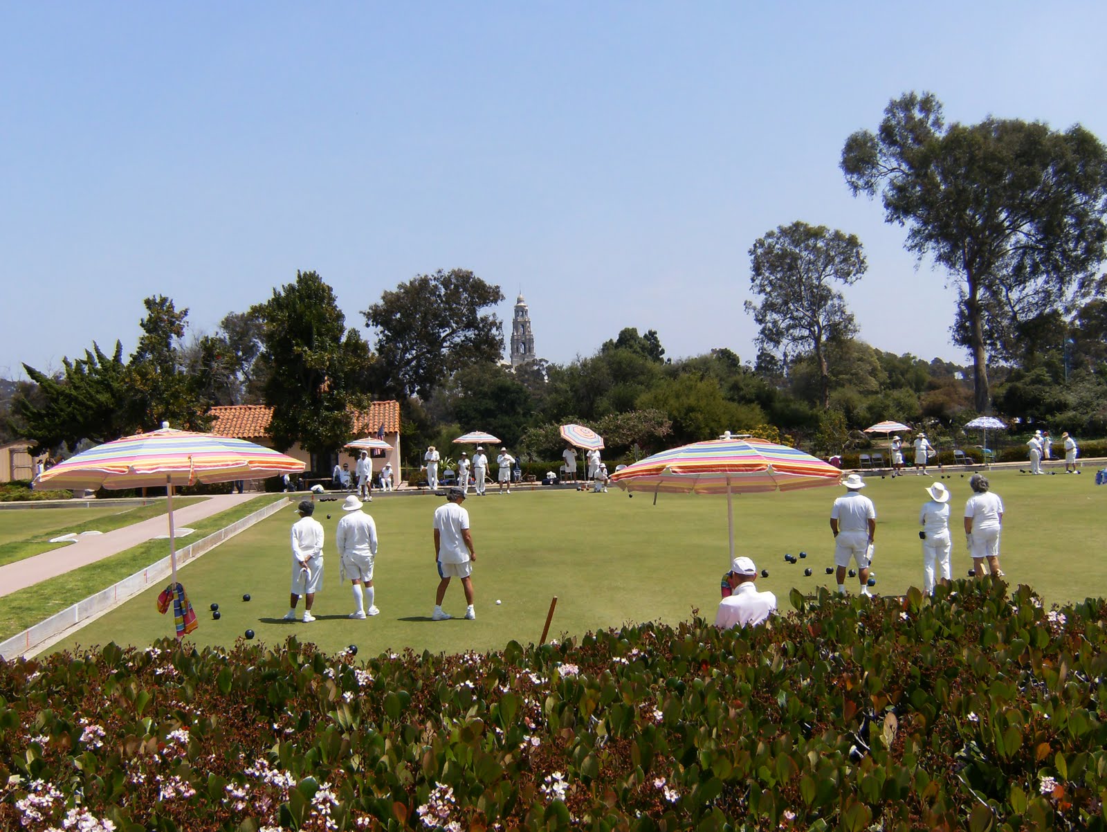 Enjoy San Diego Bocce Ball