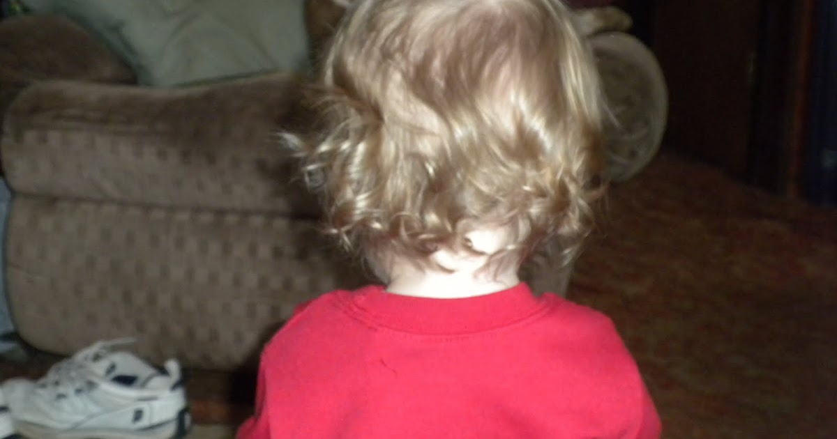 Home Growing Happiness: Little Bear's First Hair Cut