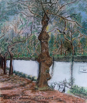 Pinturas de paisagens árvore de cortiça