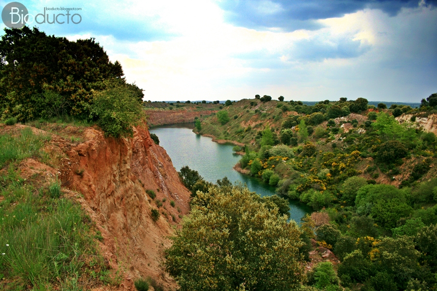 Bioducto La Mina de Estaño de Golpejas