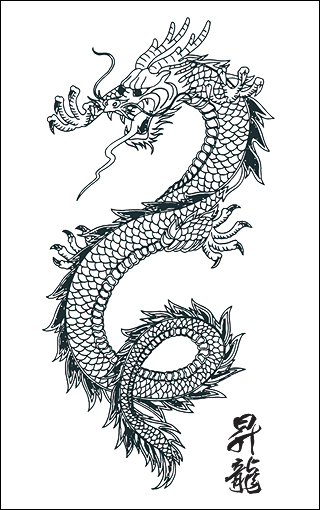 	Dragon Tattoos, Dragon Tattoos Designs, Dragon Tattoo, New Dragon Tattoos Designs, Dragon Tattoos Grils	