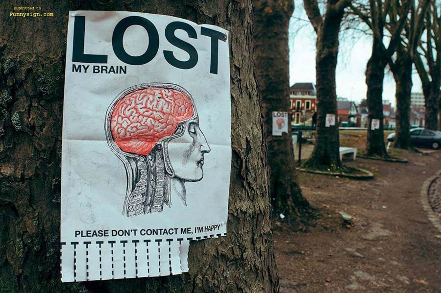 funny lost and found signs 30 pics funny signs lost and found poster
