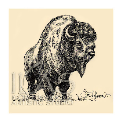 bison drawing, American buffalo image