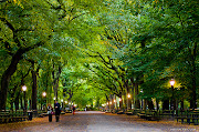 Central Park has several tours that will cater to every taste. (central park fall)