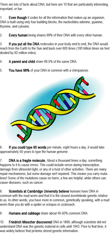 DNA facts for kids