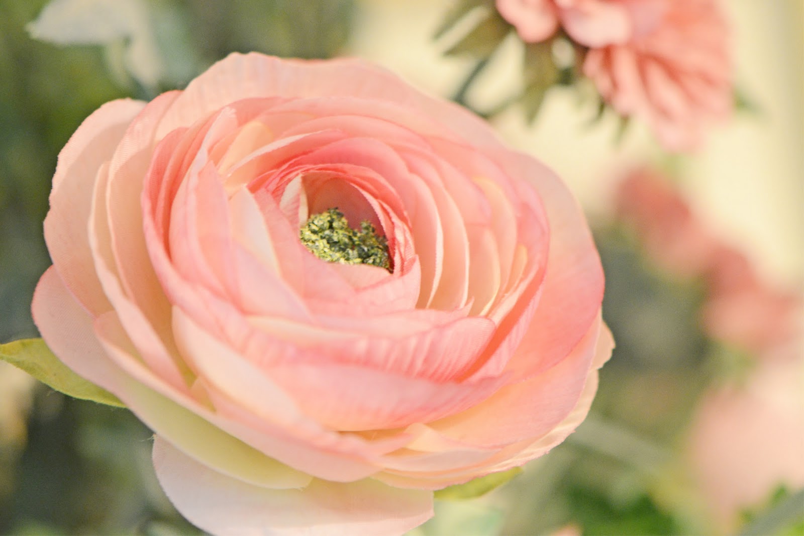 Snippets from Springdale Pretty Things