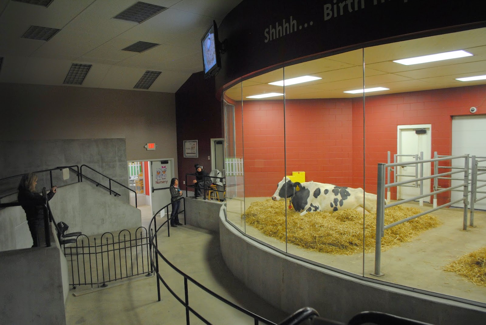 The Carpetbagger Fair Oaks Farm, America's Only Dairy Themed