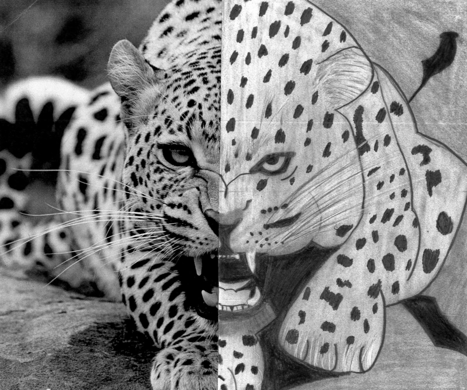 the art classroom The Other Half (Intro to Art Drawing Assignment)