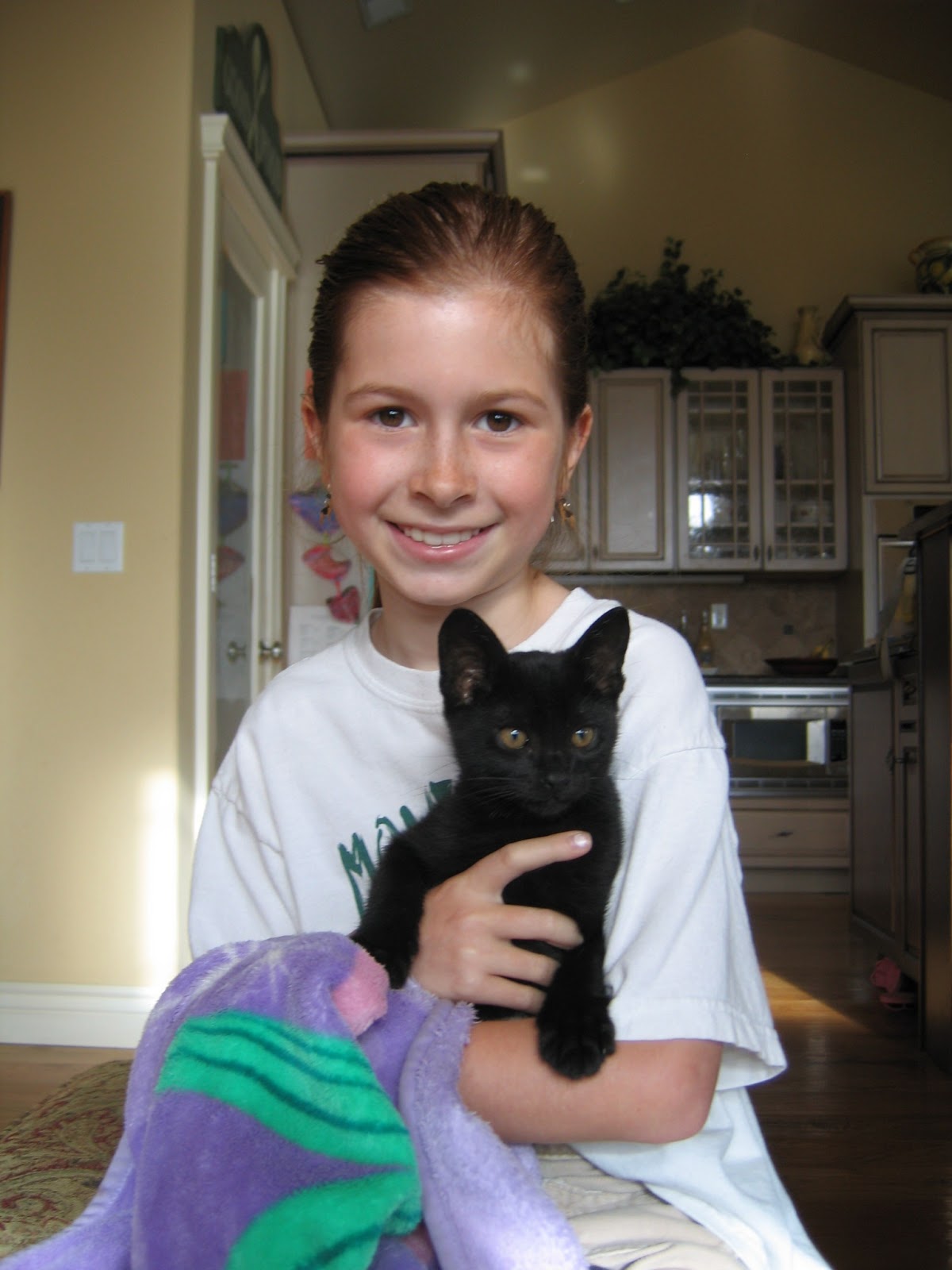 WHERE STORIES TAKE FLIGHT Focus on Fans Erin Hunter's Warriors Series