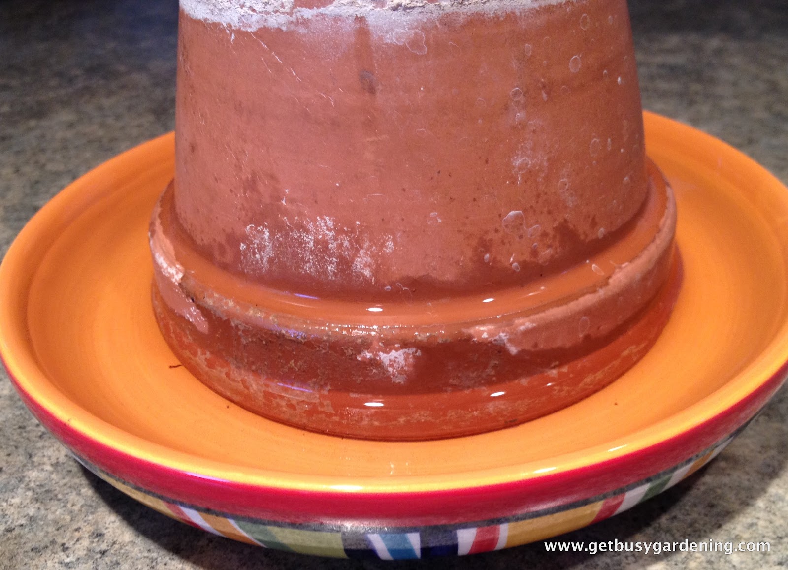 301 Moved Permanently