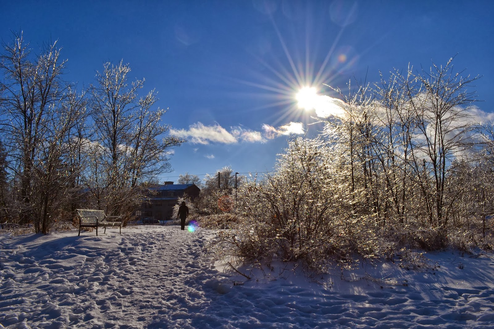 JDPegs Cold Sunny Walk