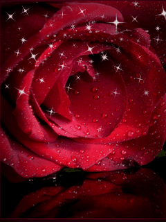 ������ ���� ������ �� ���� ������