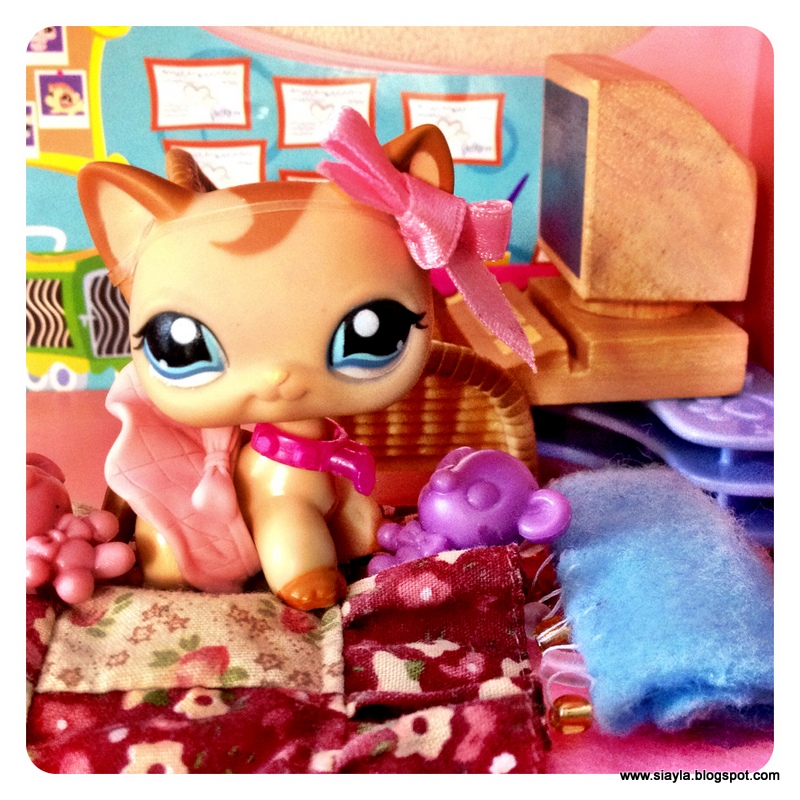 Most Valuable & Rare Littlest Pet Shop Pets List Pet Shop, Littlest