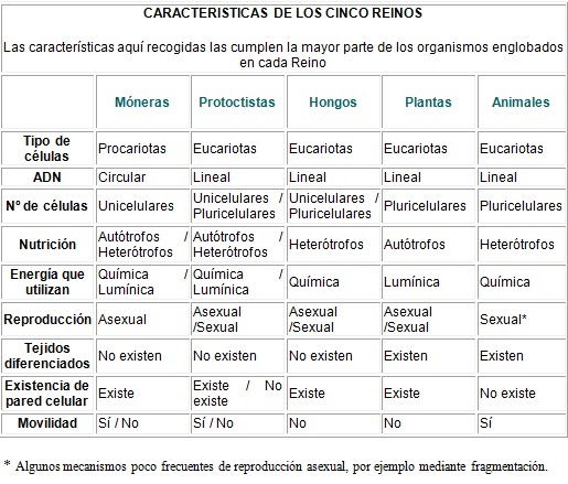 Diferencias Entre Eubacterias Y Arqueobacterias Biología y Geología de 1º Bachillerato: Los cinco reinos de la Naturaleza