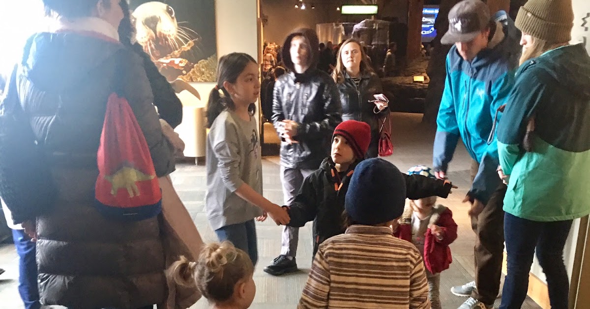 Johanna Margaux First strollerless trip to the Aquarium!