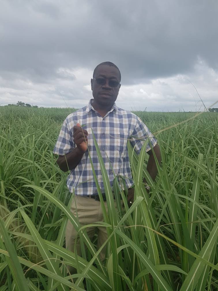 ZSAES criticises sugarcane farmers over low production Tell Zimbabwe Keeping it Real