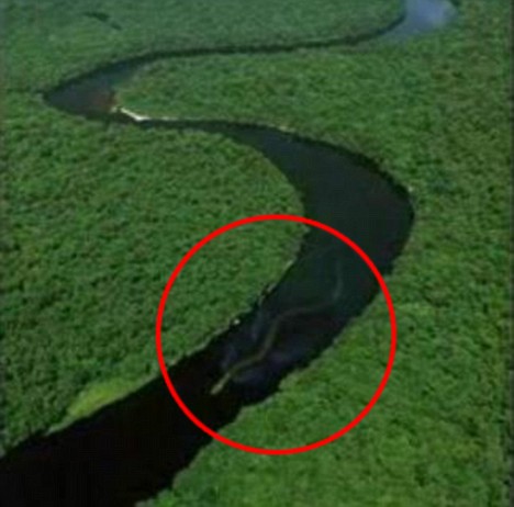 snake longest biggest largest ever anaconda river long malaysia borneo helicopter huge giant taken but titanoboa rajang sarawak serpiente seen