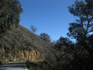 Rocky cliff along Calaveras Road, Santa Clara County, California