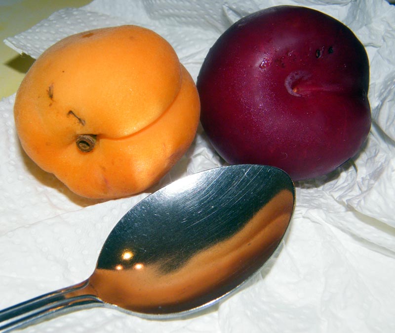 adobongblog Plums and Apricots