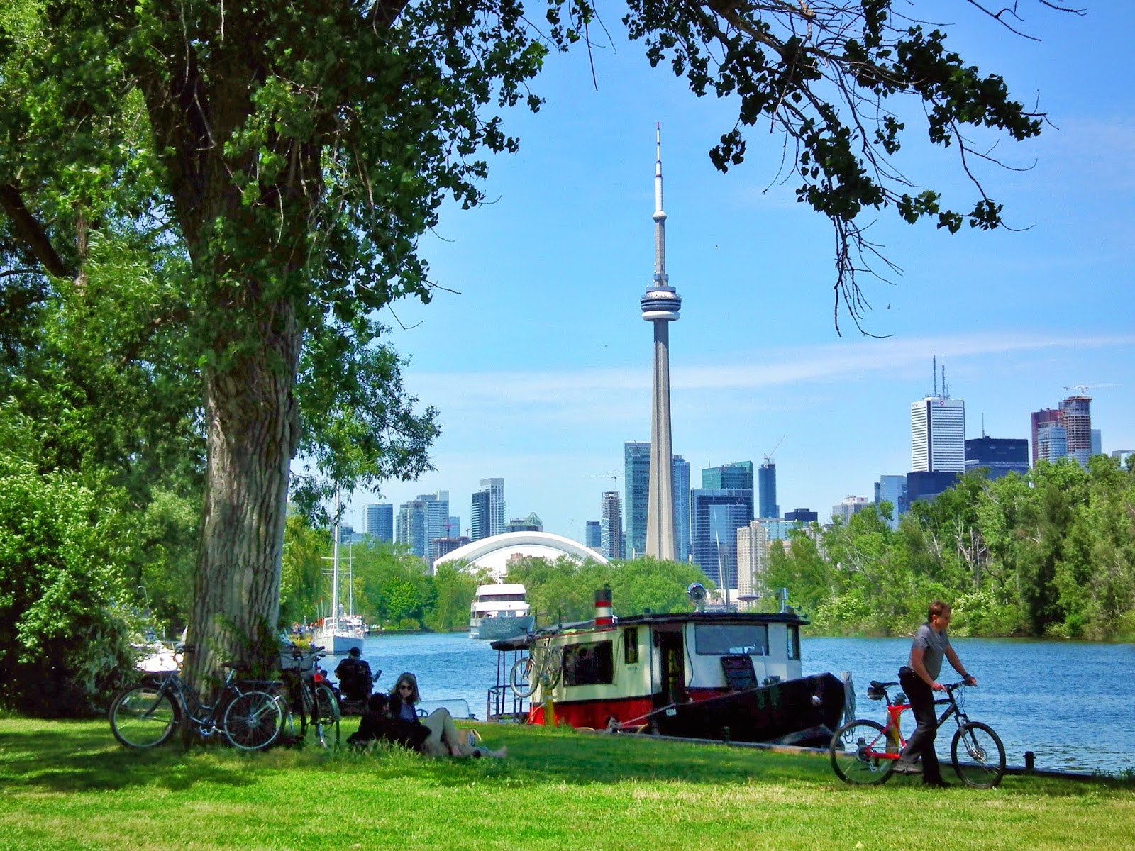 chai by the fjord sunny day at the Toronto Islands