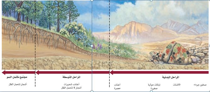 المنطقه التي تشكل المساحه الأكبر على طول أرضية المحيط تسمى