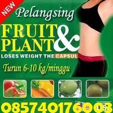Jual Obat Pelangsing Herbal Alami - Jakarta Jual Obat Pelangsing Herbal Alami - Jakarta