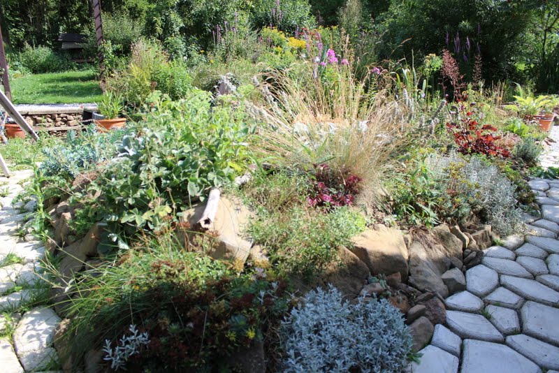Wildes Gartenglück Garten im August