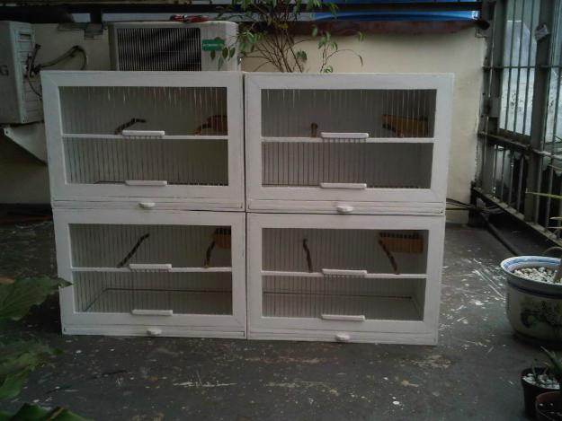 Kandang untuk Penangkaran Kenari Kenari Banjarmasin