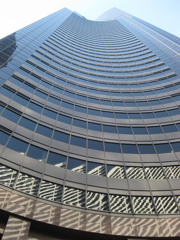 to the Bulky Boy Blog! "The Big Climb of Seattle" pictures 3/25/12