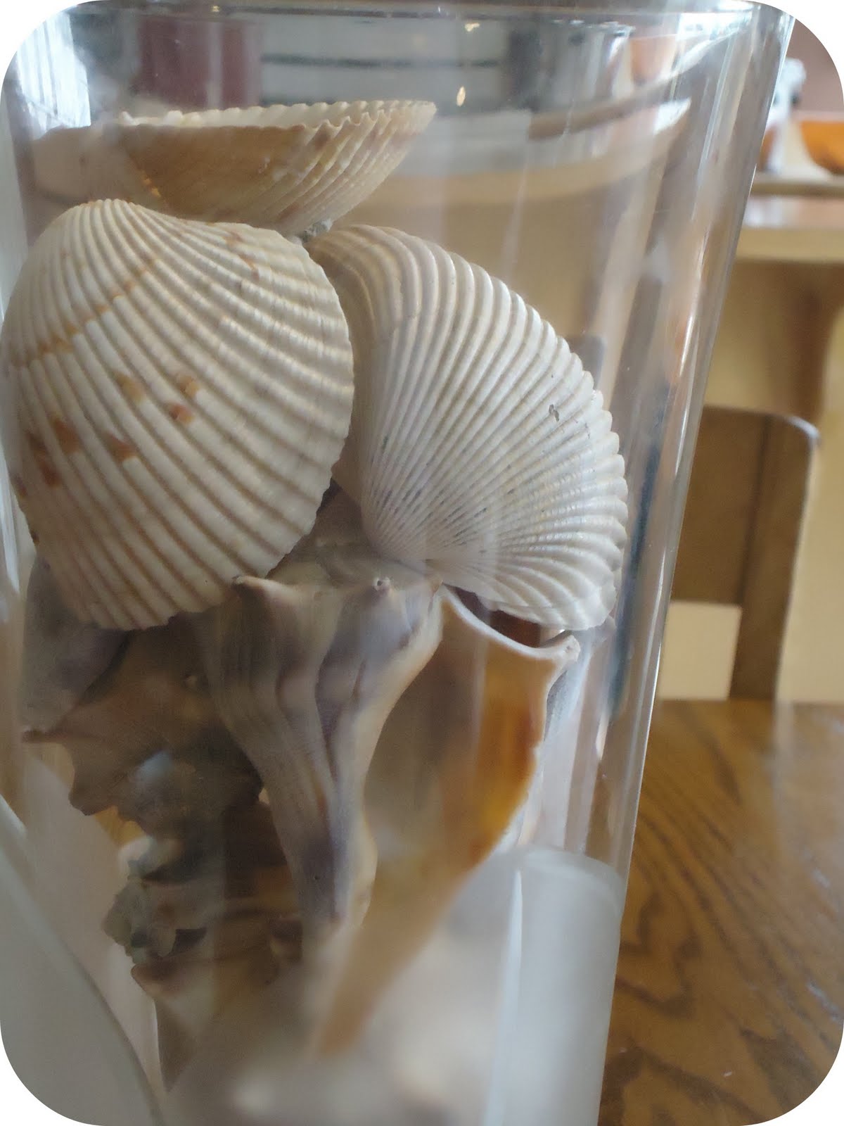 Homemade Serenity Why Don't You Make Sea Shell Candles