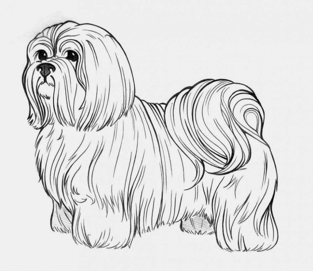 Coloring Pages: Dogs Coloring Pages Free and Printable