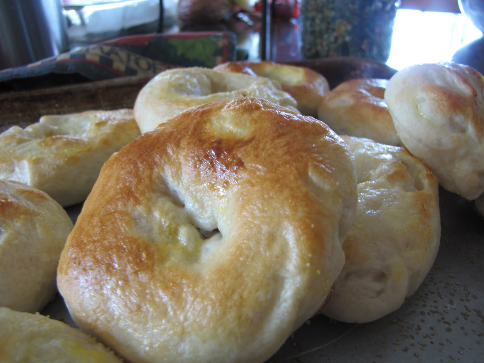 PREPARE TODAY Prepare Today Homemade Bagels